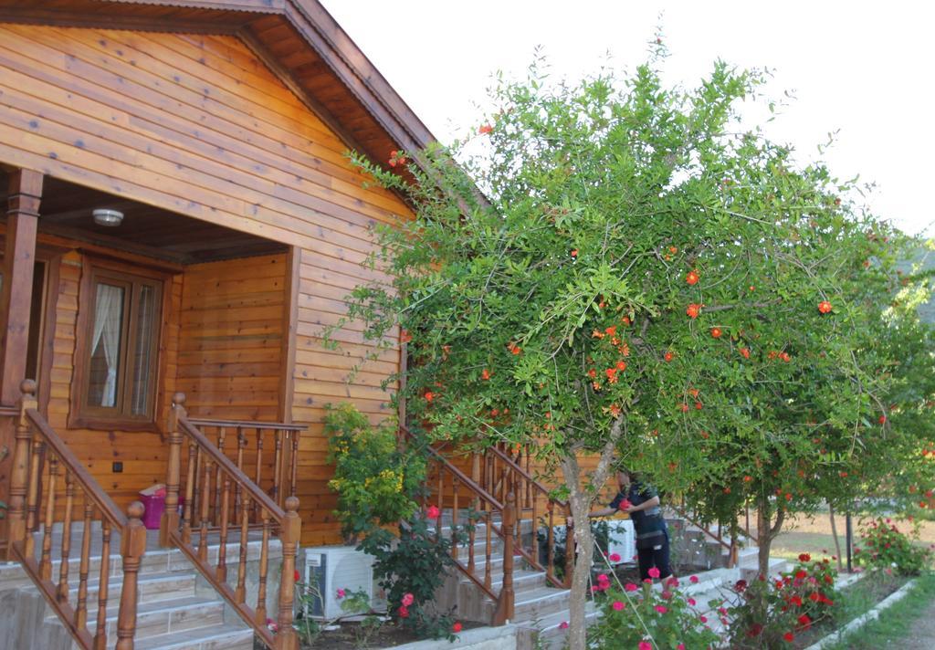 Elly's Gazde/Camere de închiriat Mesudiye (Datca)