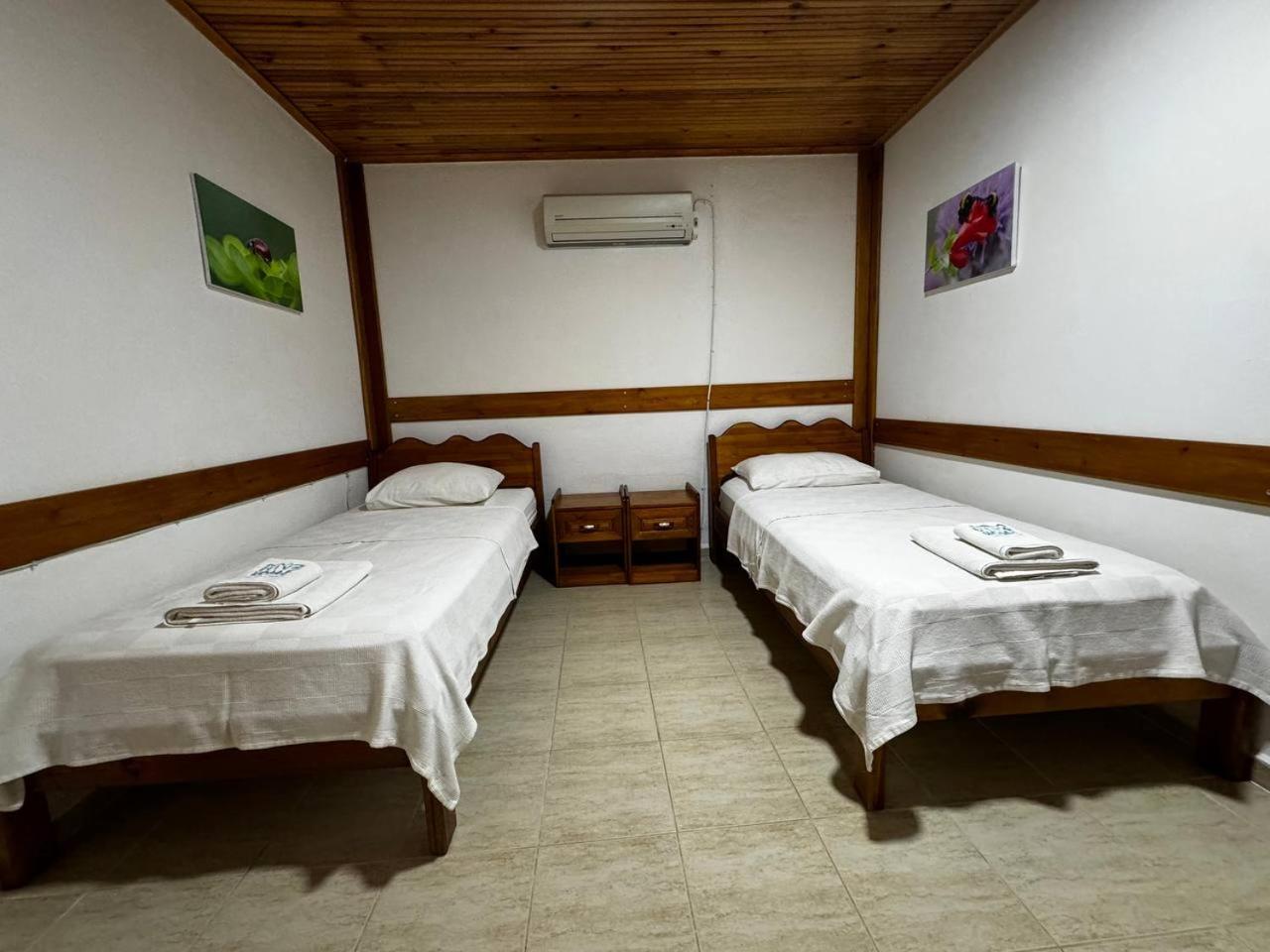 Gazde/Camere de închiriat Elly's