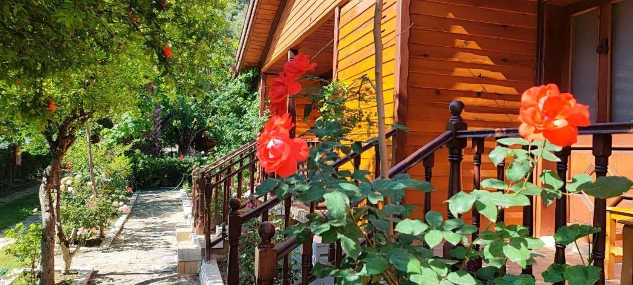 Elly's Mesudiye (Datca)
